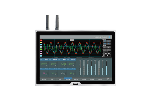TP1100 无线数据记录仪